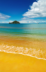 Canvas Print - Coastal view, Abel Tasman National Park, New Zealand