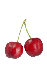 Two cherries on white background