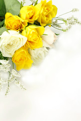 Wall Mural - yellow rose