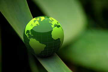 green earth on grass