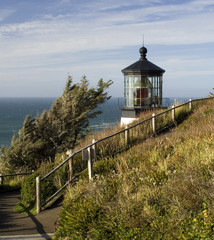 Wall Mural - Cape Meares