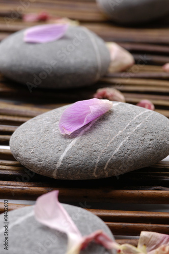 Foto-Tapete - Orchid petals with spa stones (von Mee Ting)