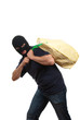 © Anton Gvozdikov - Robber in a mask carries big bag with money