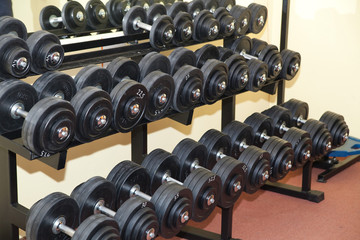 lots of dumbbells