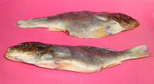 Two Females Salty And Dried Upriver River Perch