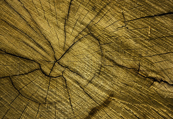 wooden background