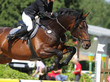 © Jürgen  Lenzen - Reitsport-Springen 1