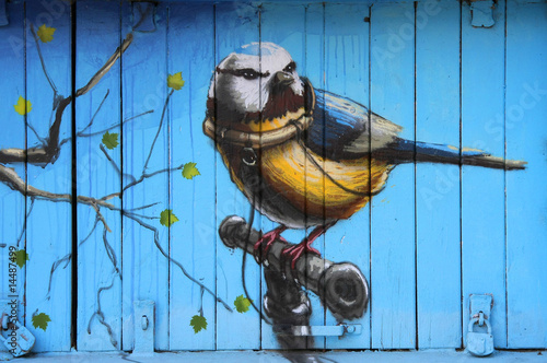 Fototapeta na szkło Ptak Graffity