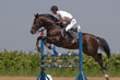 horse jumping show
