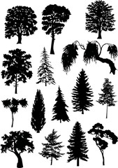 Wall Mural - fifteen tree silhouettes
