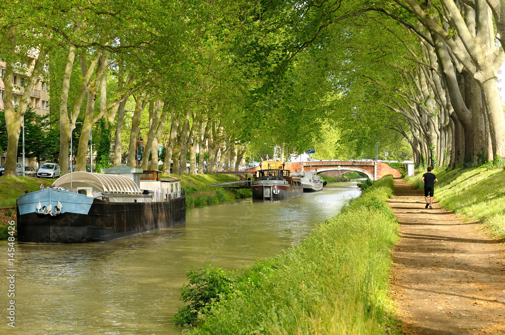 Le canal du Midi (Toulouse). - obrazy, fototapety, plakaty 