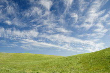 Wall Mural - summer landscape