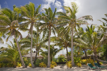 Wall Mural - Tropical Beach with Palm Trees, Lounge Chairs and Palm-thatched