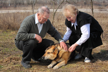 Wall Mural - Elderly pair caresses a dog