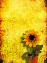 Artificial Sunflower  On Grange Yellow Background