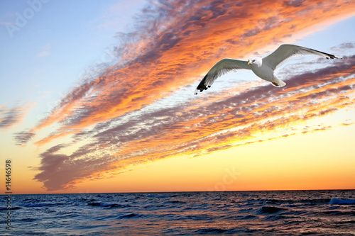 Naklejka samoprzylepna Zachód słońca w kształcie seagull.