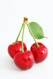 Fototapeta  - The Ripe sweet cherries