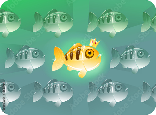 Foto-Plissee - Golden fish | Concepts series (von Alexey Belonogov)