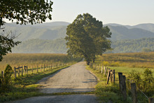 Country Road Great Smoky Mountains