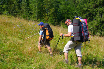 Wall Mural - Hiking in the Carpathian mountains