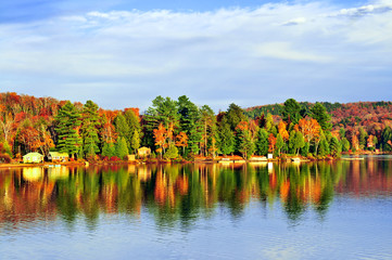 Wall Mural - Fall forest reflections