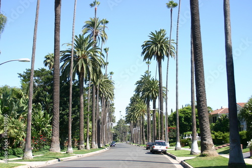 Fotoboard na płycie Beverly Hills