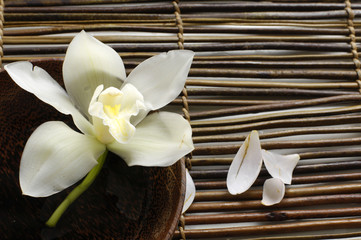 Naklejka kwitnący aromaterapia bambus