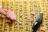 Pink Flowers and Brush on Chinese ancient bamboo slips