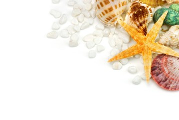 Seashells and white pebbles isolated on white