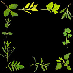 Sticker - Herb Leaf Border