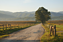 Gravel Road In Great Smoky Mountains National Park