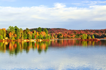 Wall Mural - Fall forest reflections