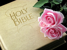 Bible And Roses
