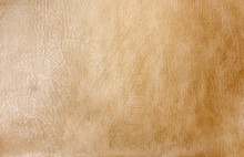 Leather Texture To Background