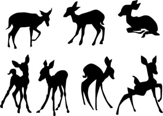 Wall Mural - young deers