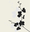 Stylized orchid branch, vector illustration