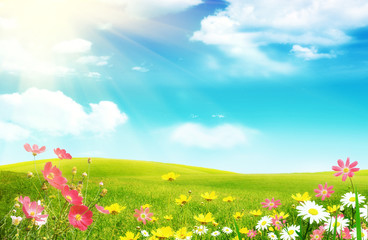 spring flowers