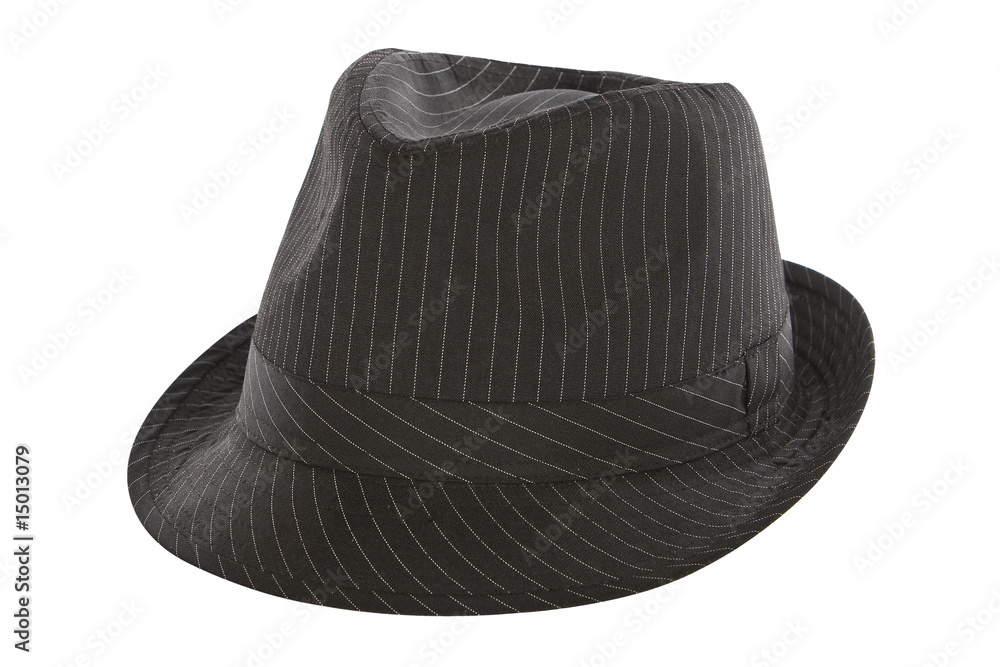 black pinstripe fedora hat - obrazy, fototapety, plakaty 