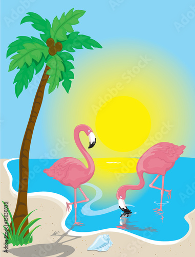 Fotoboard na płycie Plaża flamingo