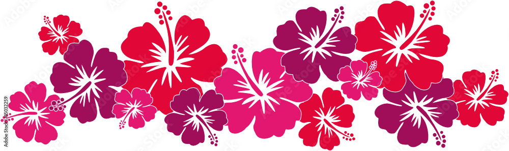 Hawaiiblumen rot (Bordüre) - obrazy, fototapety, plakaty 
