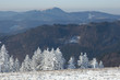 Schneelandschaft,Feldberg, Schwarzwald