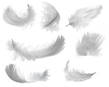 Seven White Feathers