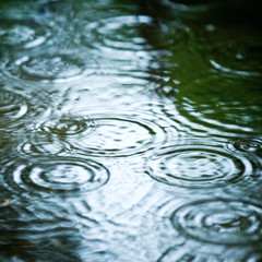 Wall Mural - rainy weather