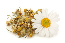 Dried Chamomile Tea Isolated On White Background
