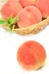 Canvas Print - peach