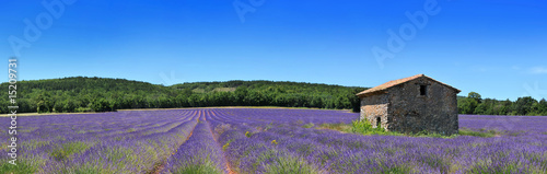 Tapeta ścienna Panorama Prowansji