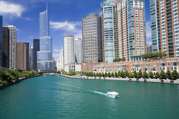 Fototapete - Amazing day in Chicago