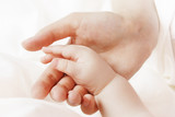 Fototapeta Koty - Hand of the child in a hand of mother