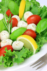 Sticker - salad of mozzarella cheese and tomato