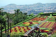Le Beau Jardin Botanique De Funchal